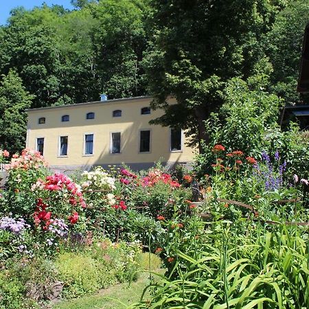 Ferienwohnung Goldgrund Meißen المظهر الخارجي الصورة